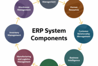 erp-it-infrastructure-management