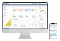 erp-multi-device-access